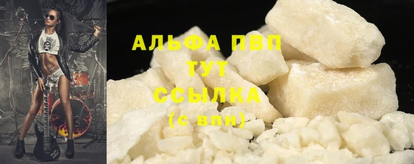 шишки Белоозёрский