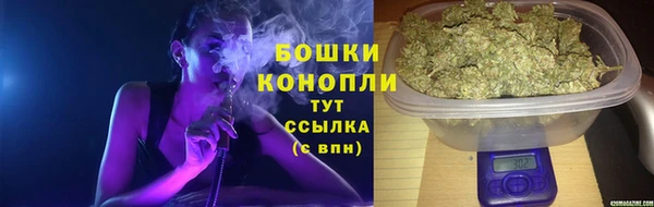 шишки Белоозёрский