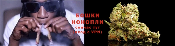 MESCALINE Белокуриха