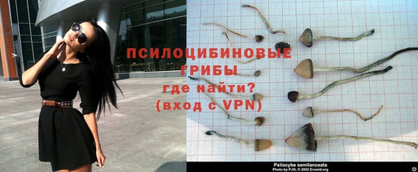 крисы Богданович