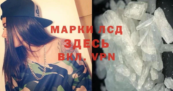 шишки Белоозёрский